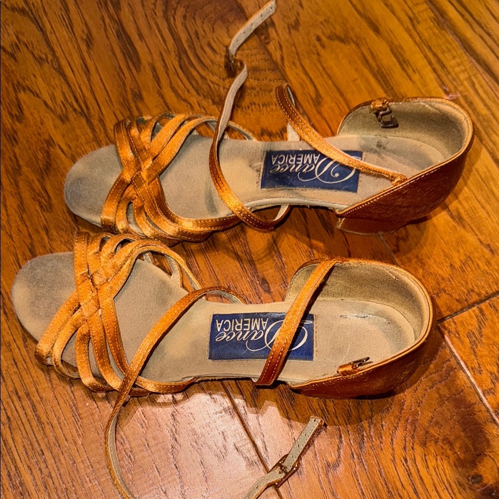Combo= Dance America Alexandria Tan Satin + chic tan ballroom dancing shoes